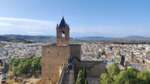 MVIMG_20251105_155457