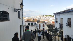 MVIMG_20251105_162534